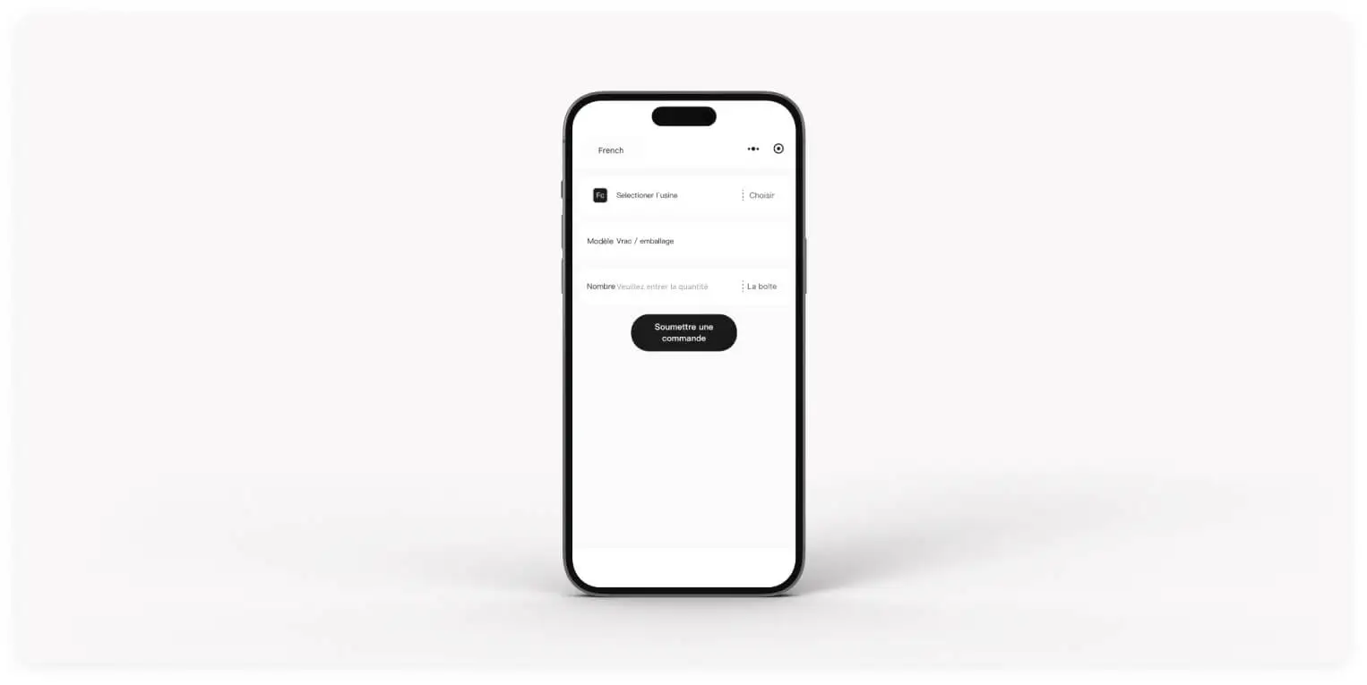 Mini programme Hong Kong Overseas Chinese Logistics - Aperçu du projet